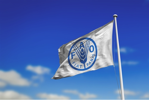 The Food and Agriculture Organization